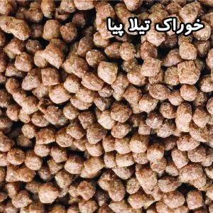 خوراک تخصصی آبزیان گروه پیشرو دانه