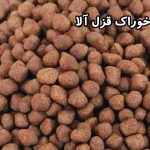 خوراک تخصصی آبزیان گروه پیشرو دانه